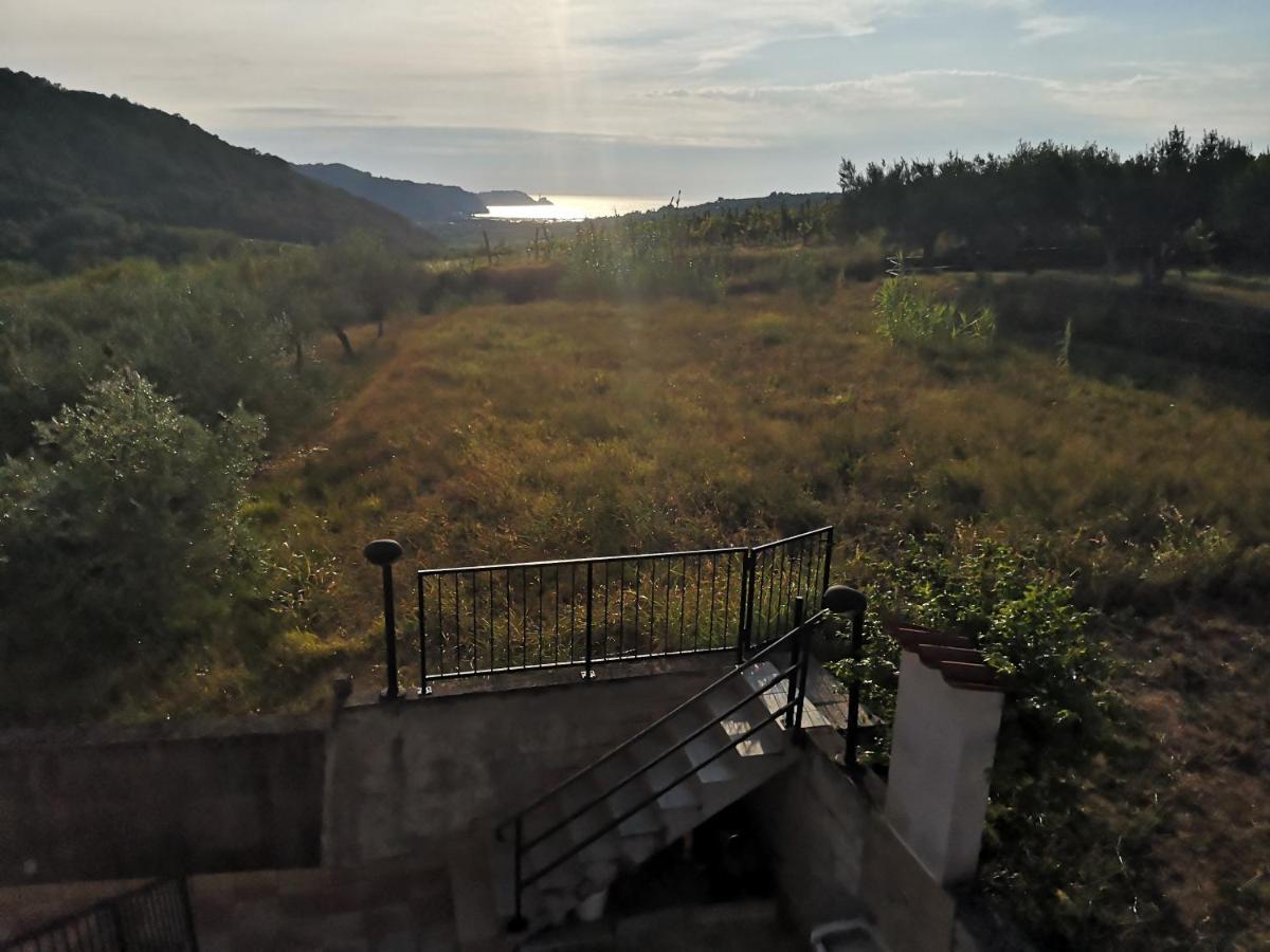 Saleto Apartma Jagodje Exterior photo